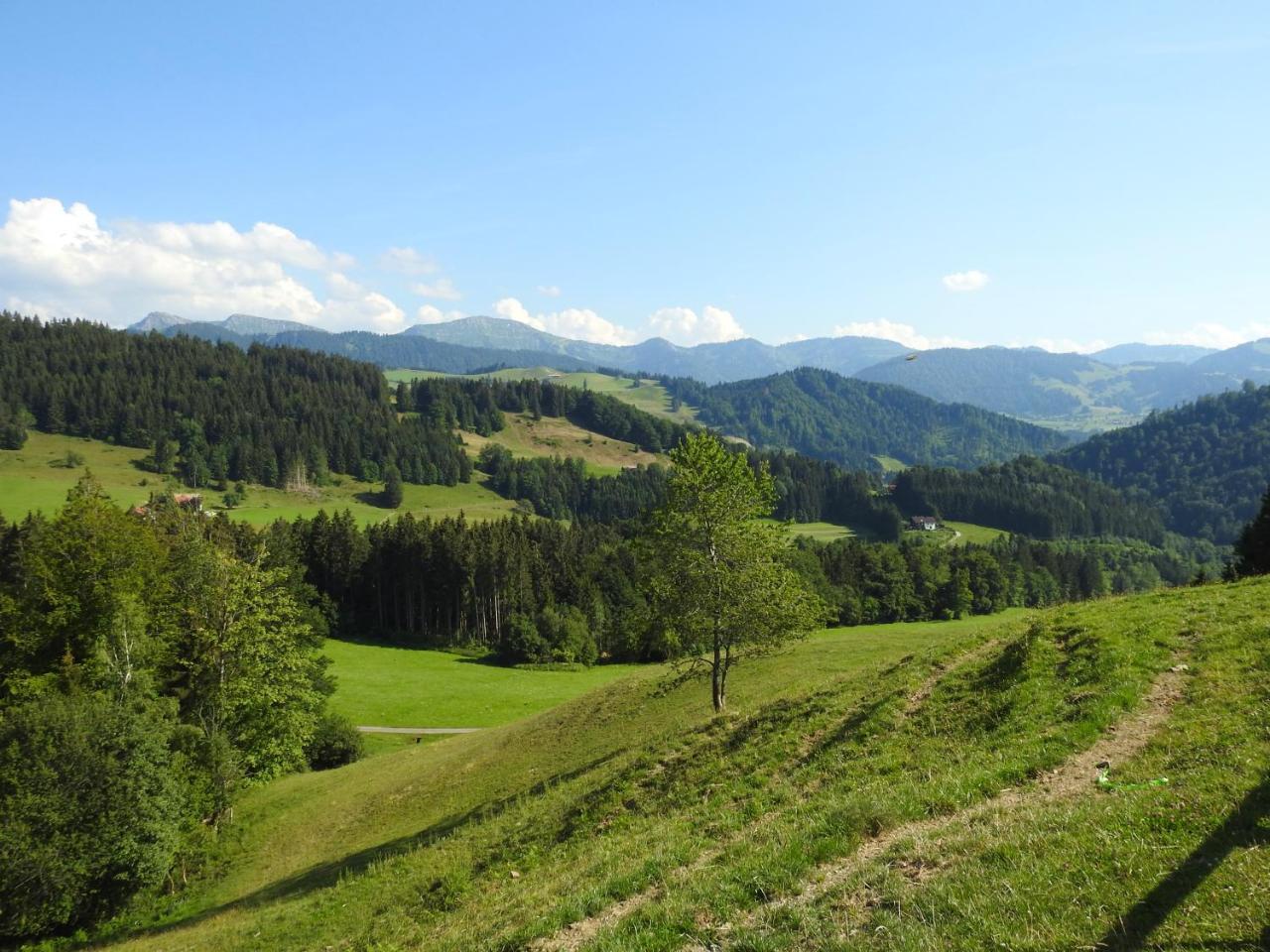 Ferienwohnungen Am Schlossberg Оберщауфен Екстериор снимка
